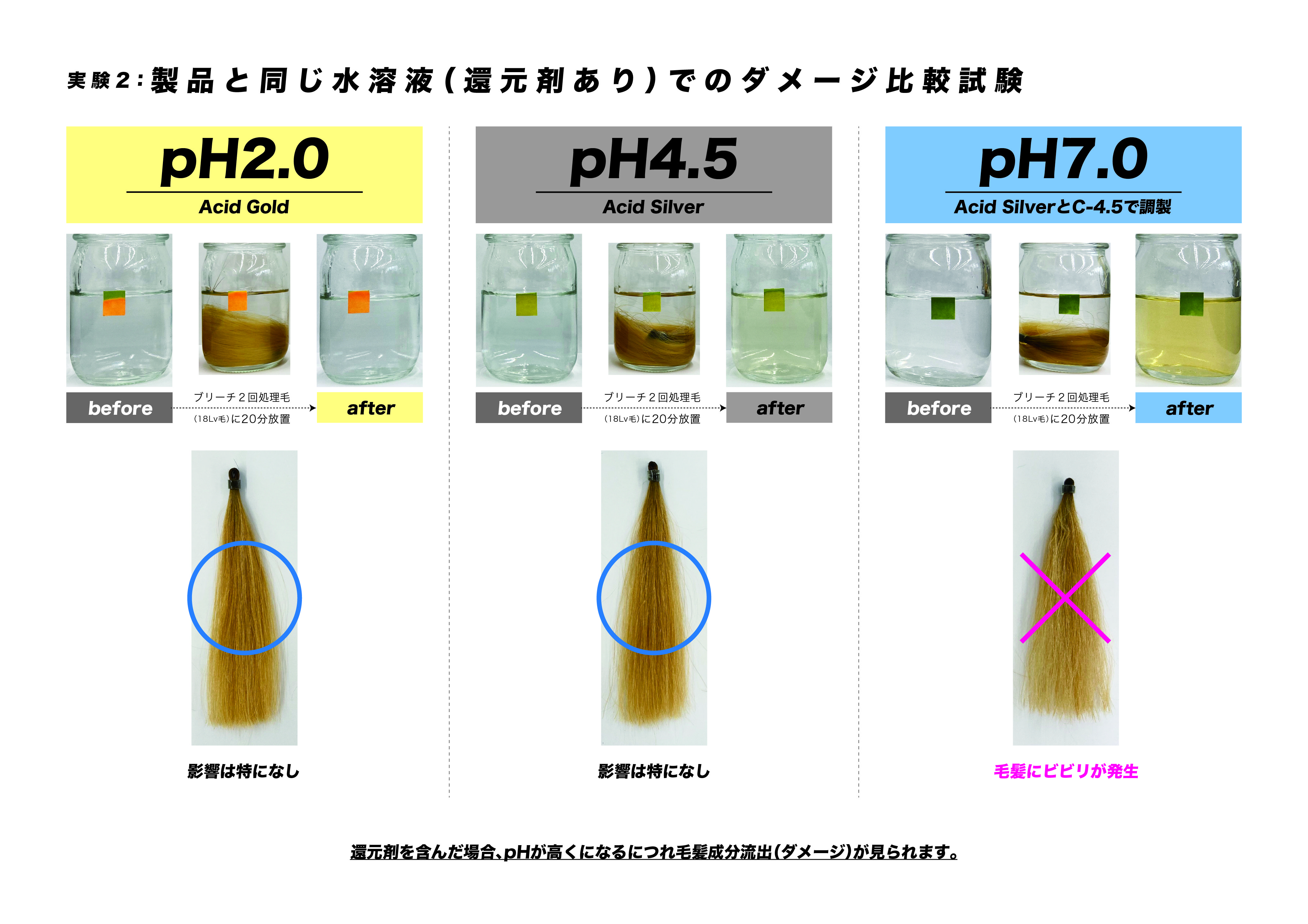 pH比較試験_02.jpg
